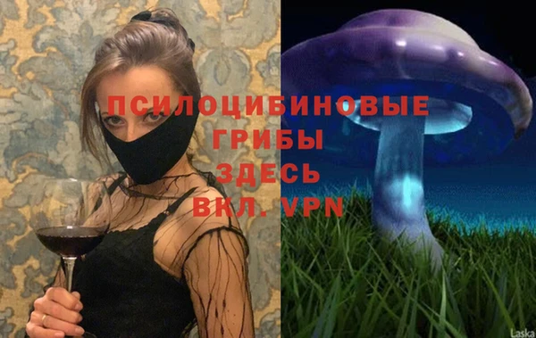 дмт Кулебаки