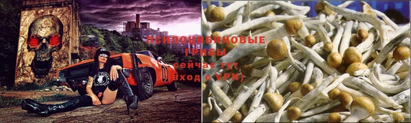 каннабис Куйбышев