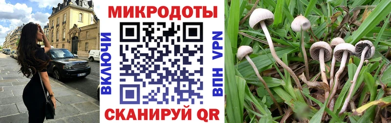 Купить закладки  Южно-Сахалинск  Псилоцибиновые грибы Psilocybine cubensis 
