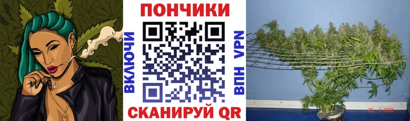 Каннабис сатива  Купить где  Южно-Сахалинск